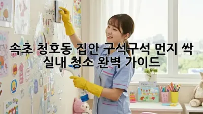 속초 청호동 집안 구석구석 먼지 싹! ✨ 실내 청소 완벽 가이드