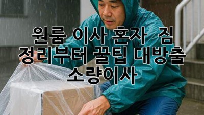 원룸 이사 혼자? 📦 짐 정리부터 꿀팁 대방출! #소량이사
