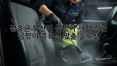 장흥군 부산면 곰팡이 제거 전문 🏡 곰팡이 종류별 맞춤 솔루션!